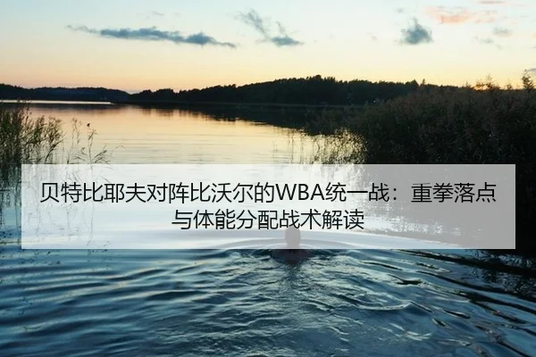 bei-te-bi-ye-fu-dui-zhen-bi-wo-er-de-tong-yi-zhan-zhong-quan-luo-dian-yu-ti-neng-fen-pei-zhan-shu-jie-du-3-376.jpg